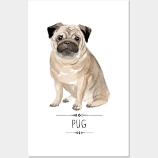 Pug Posters and Art